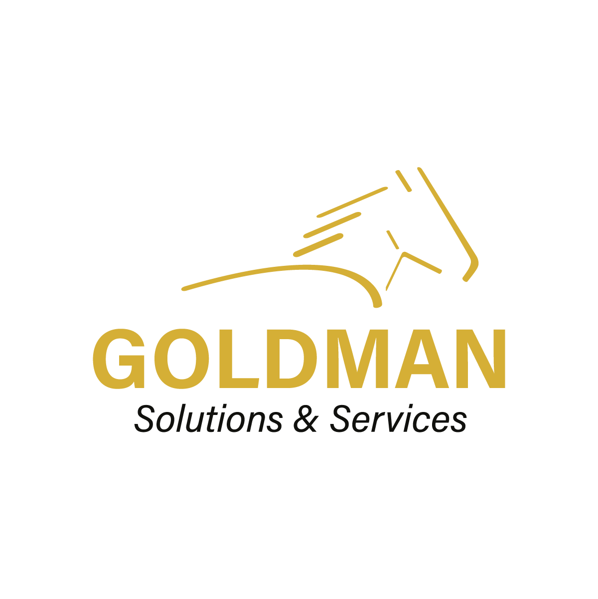 AC Goldman Solutions & Services GSS Ltd